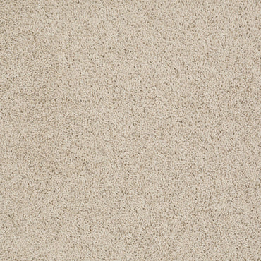 TEXTURE BCF