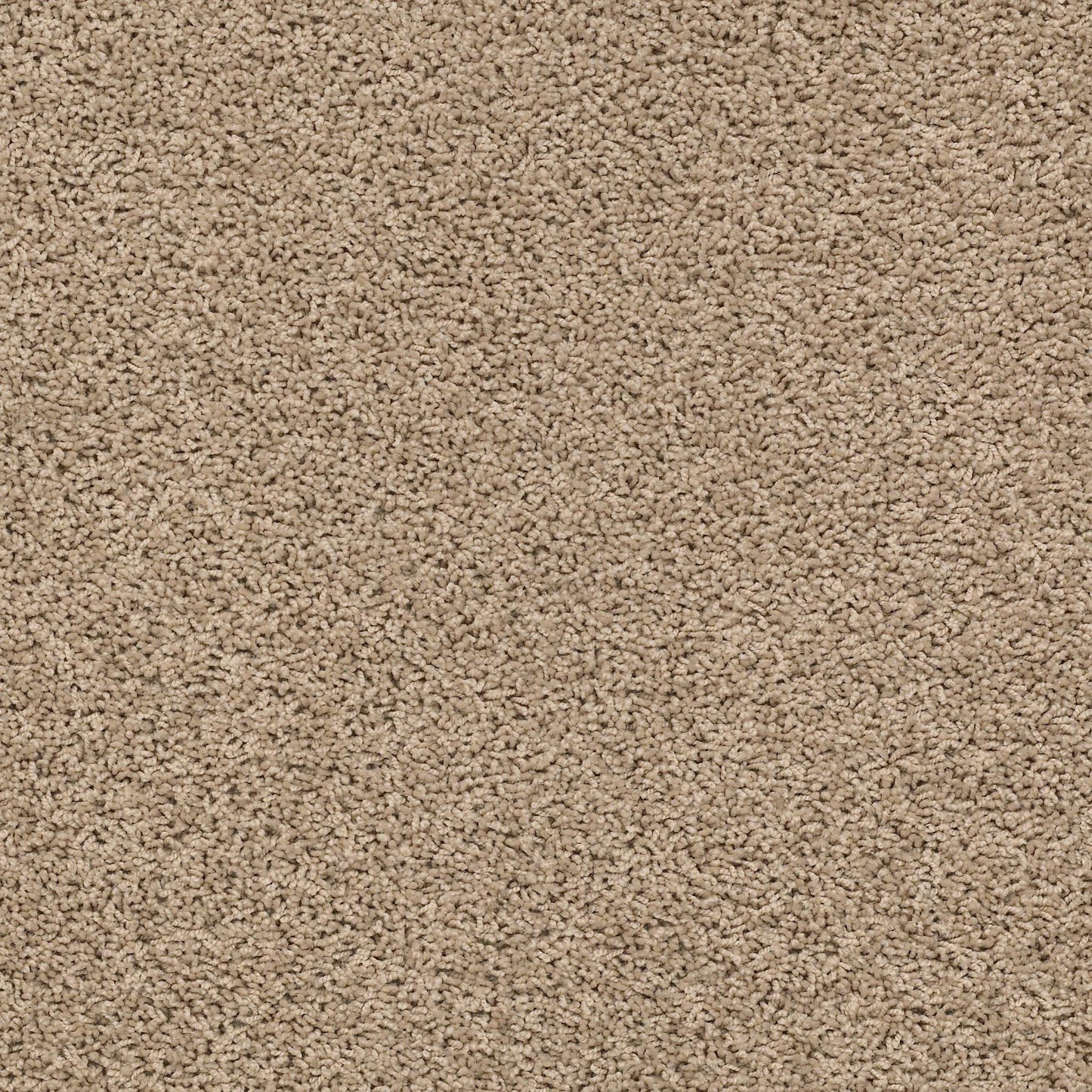 TEXTURE BCF