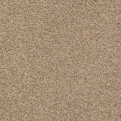 TEXTURE BCF