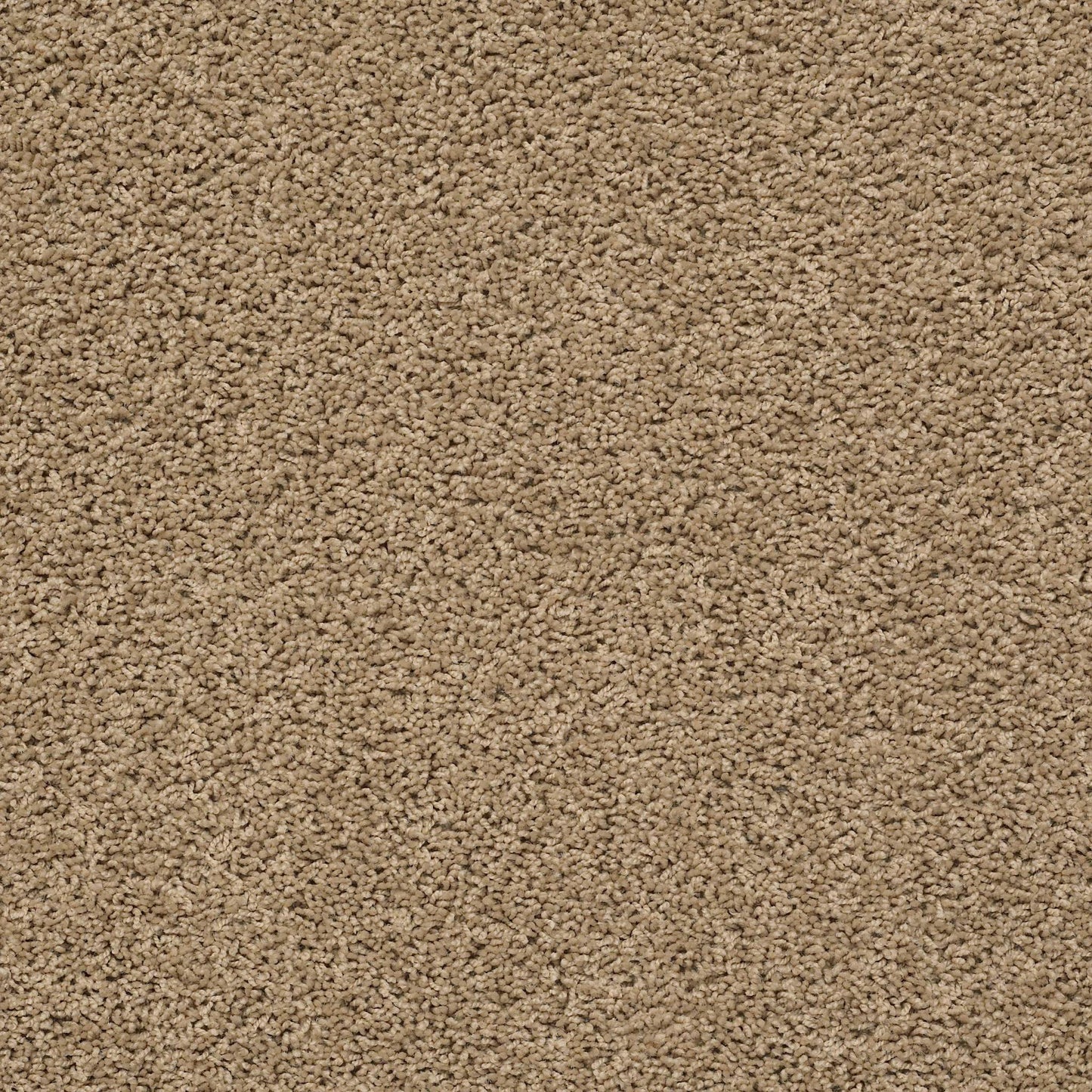 TEXTURE BCF