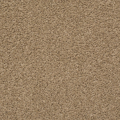 TEXTURE BCF