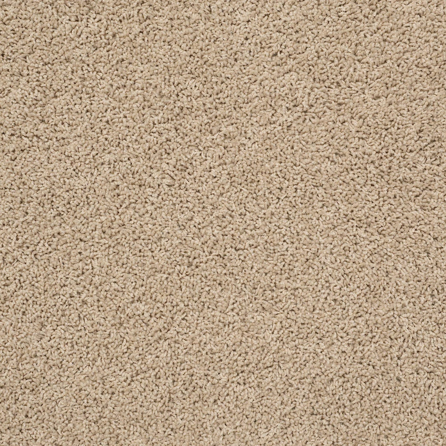 TEXTURE BCF