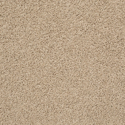 TEXTURE BCF