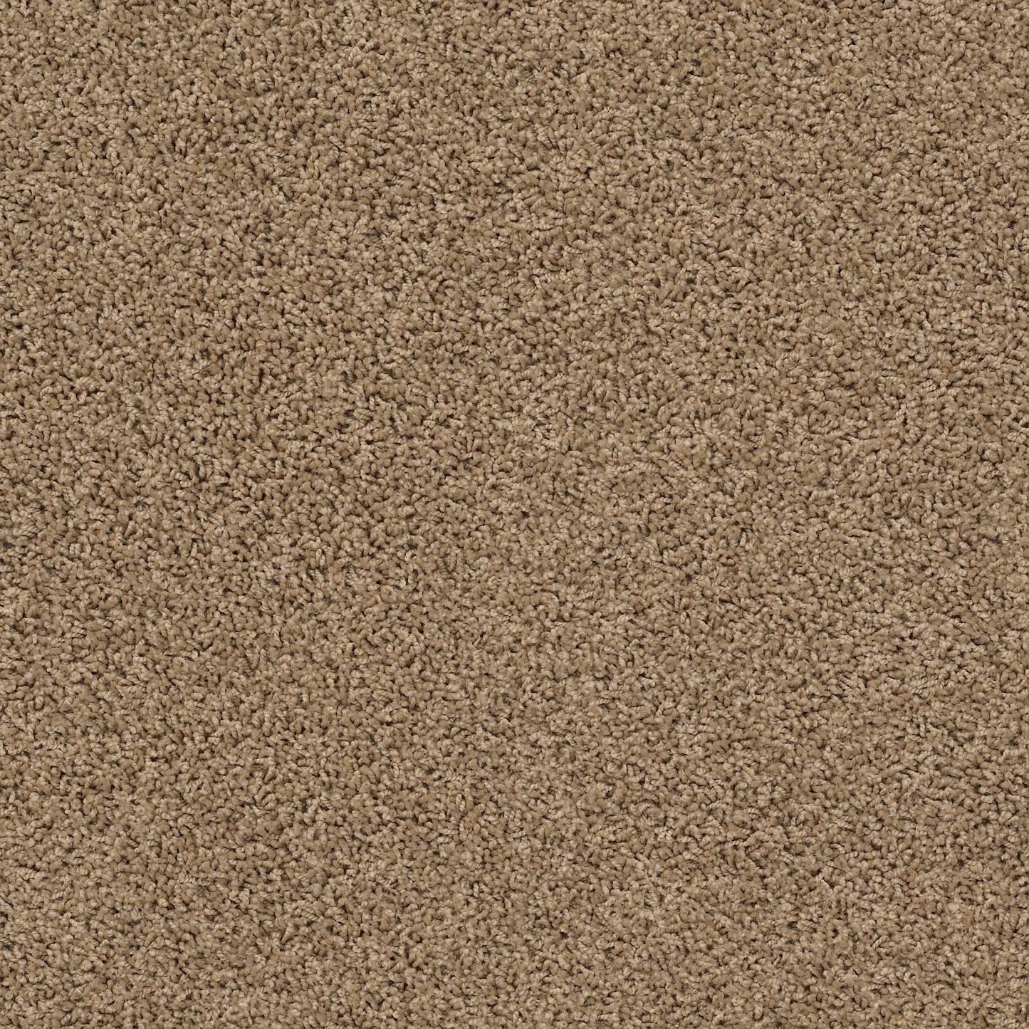 TEXTURE BCF