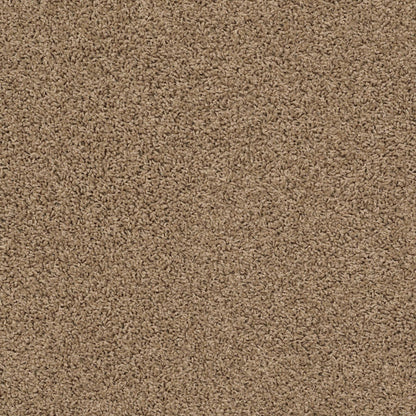 TEXTURE BCF