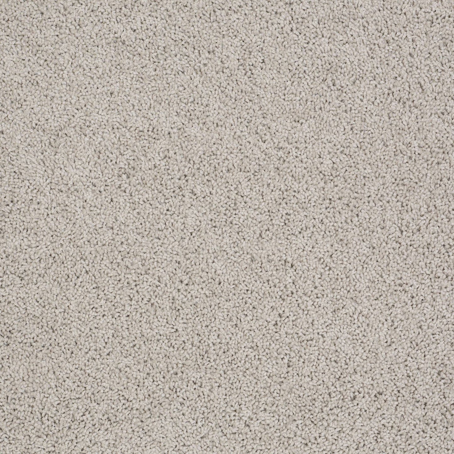 TEXTURE BCF