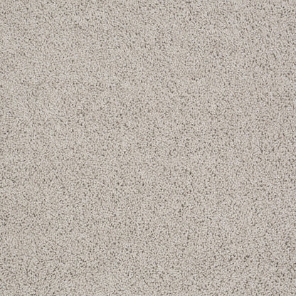TEXTURE BCF
