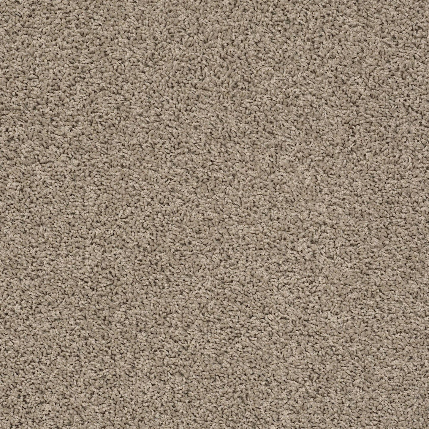 TEXTURE BCF