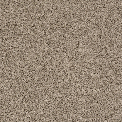 TEXTURE BCF