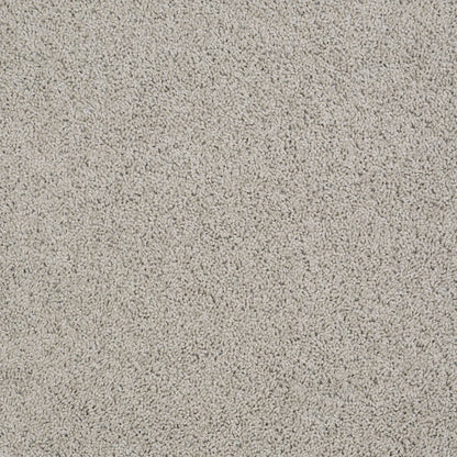 TEXTURE BCF