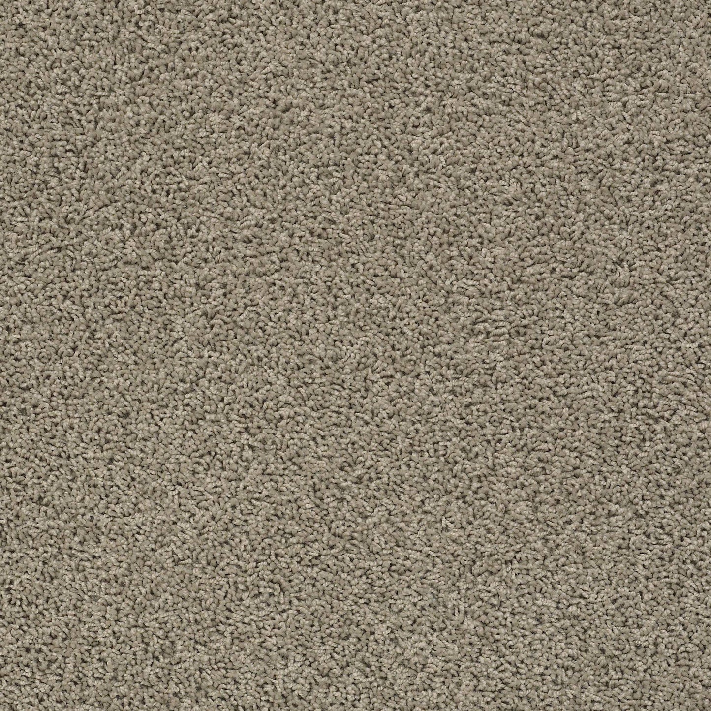 TEXTURE BCF
