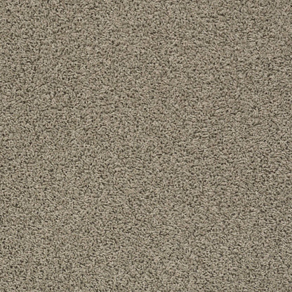 TEXTURE BCF