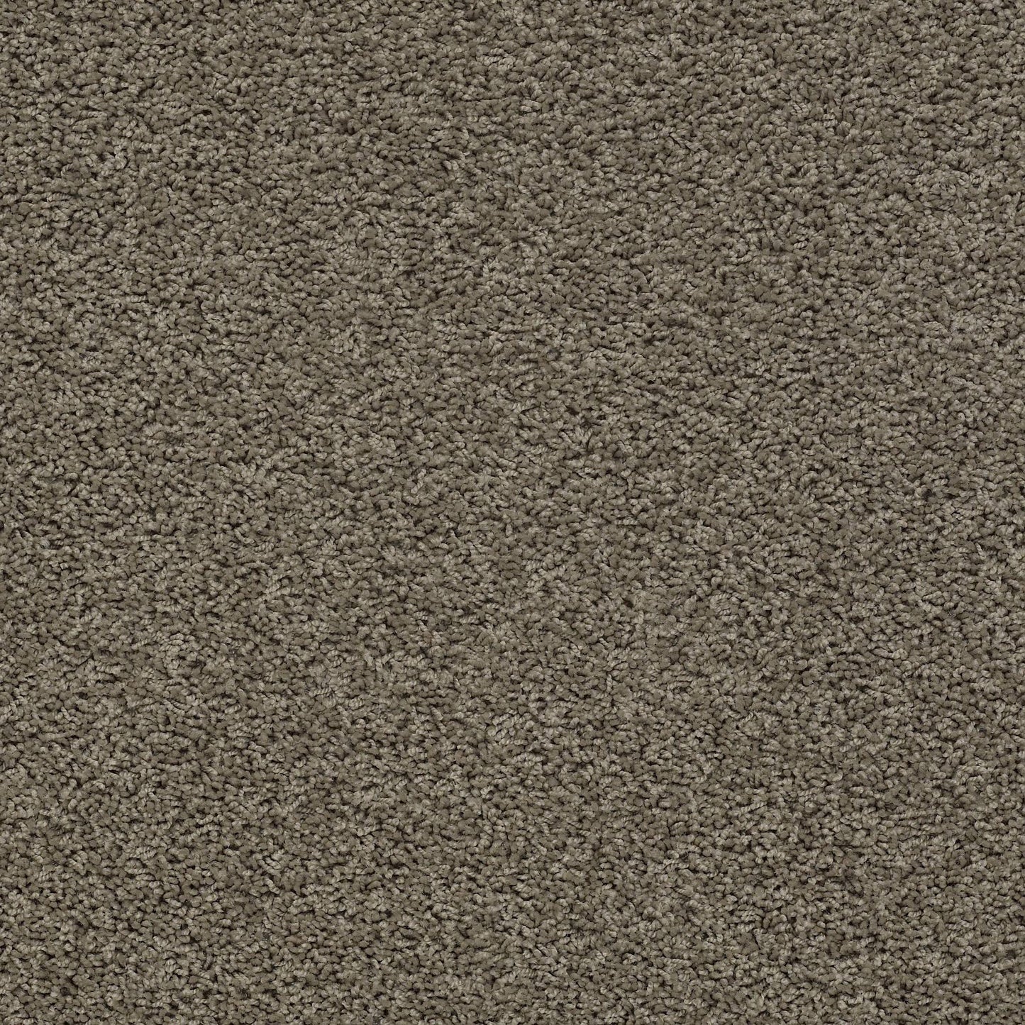 TEXTURE BCF