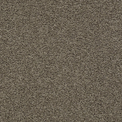 TEXTURE BCF