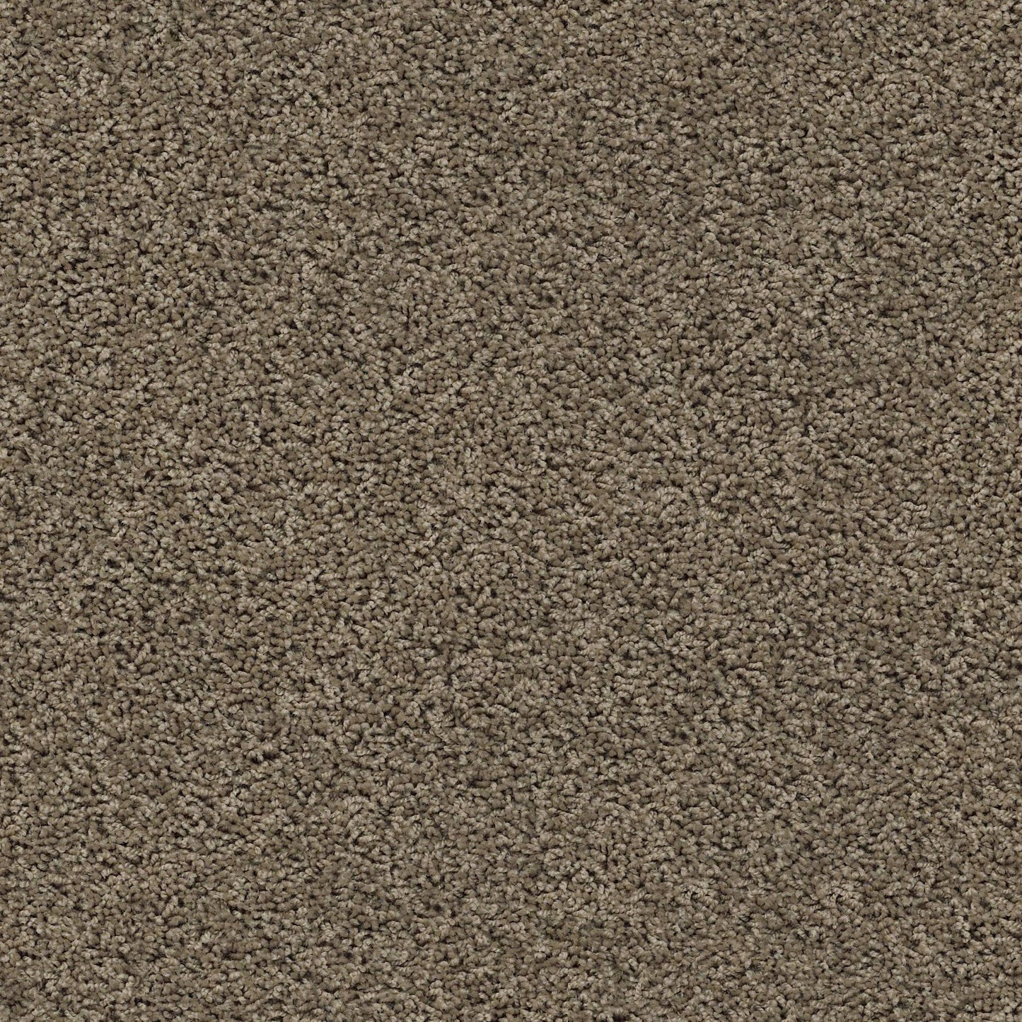 TEXTURE BCF