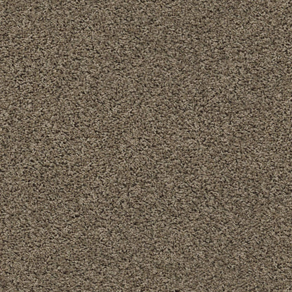 TEXTURE BCF