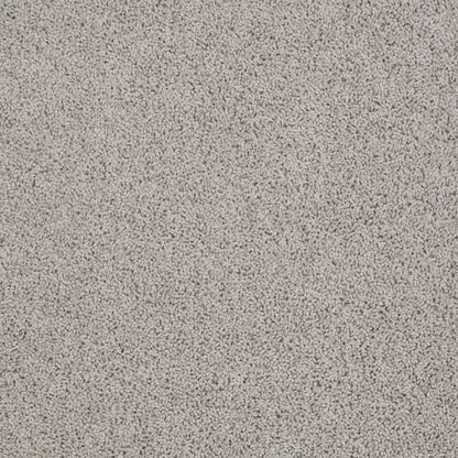 TEXTURE BCF