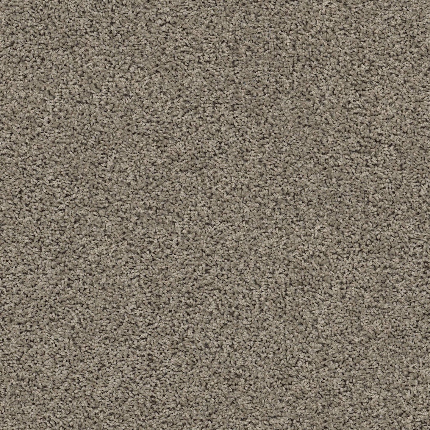 TEXTURE BCF