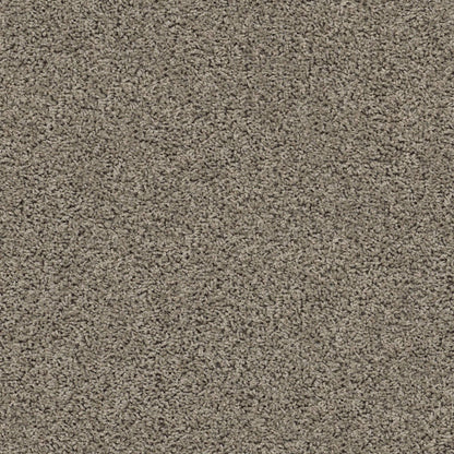 TEXTURE BCF