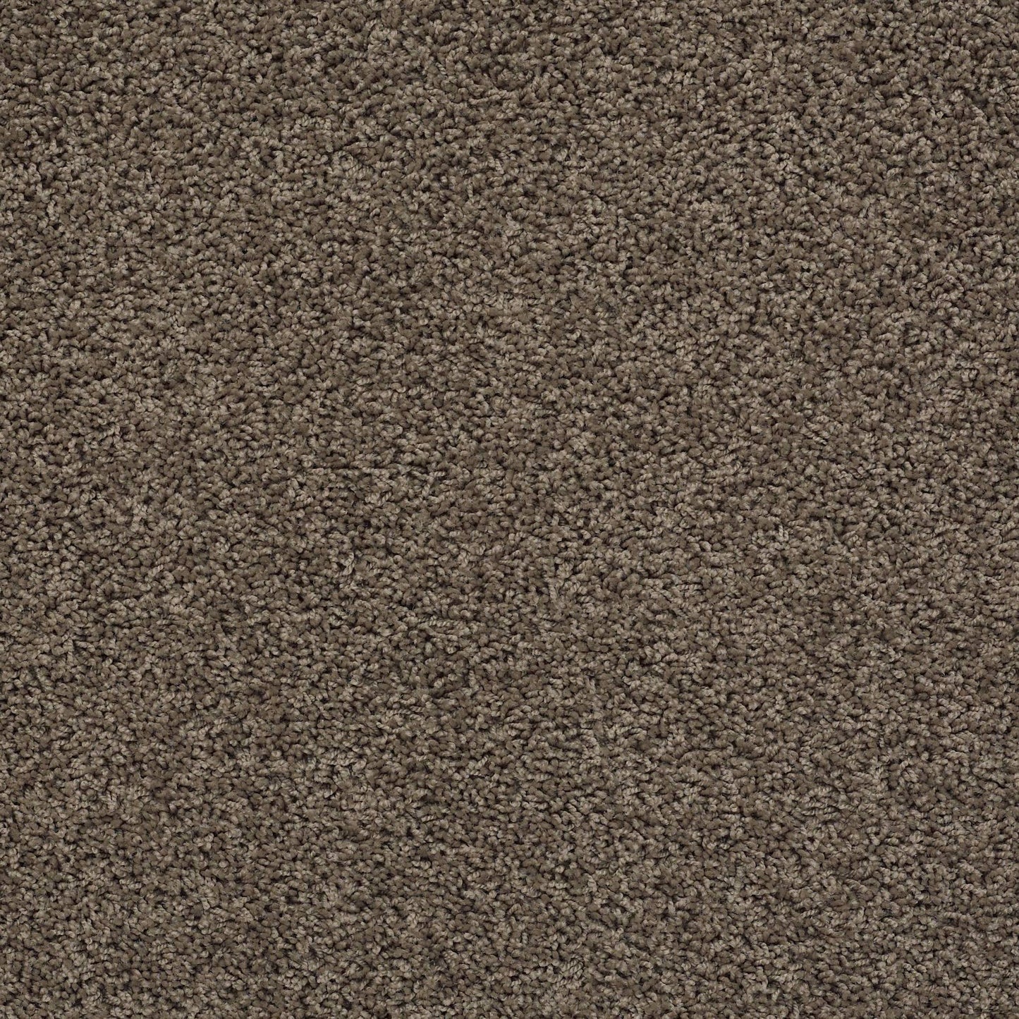 TEXTURE BCF