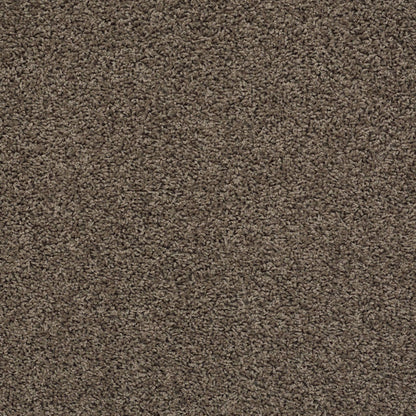 TEXTURE BCF