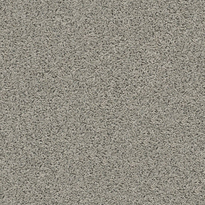 TEXTURE BCF