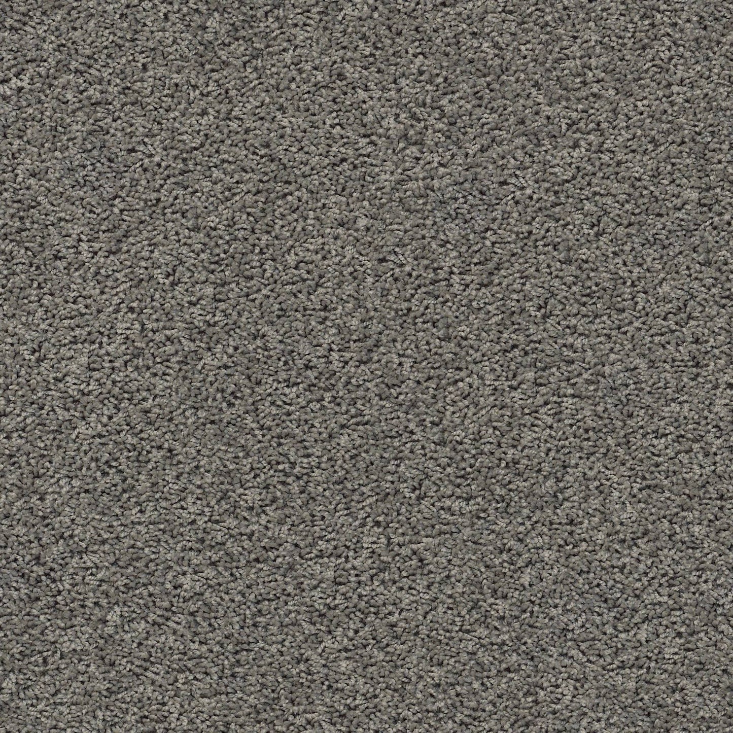 TEXTURE BCF