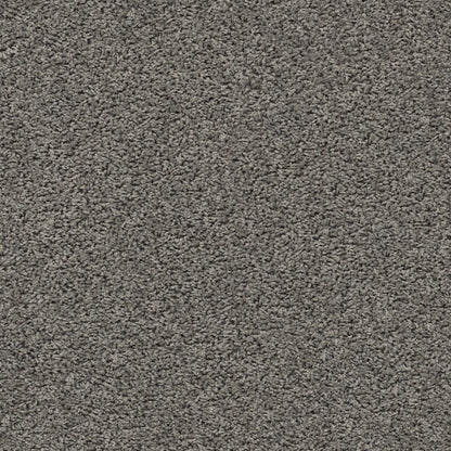 TEXTURE BCF