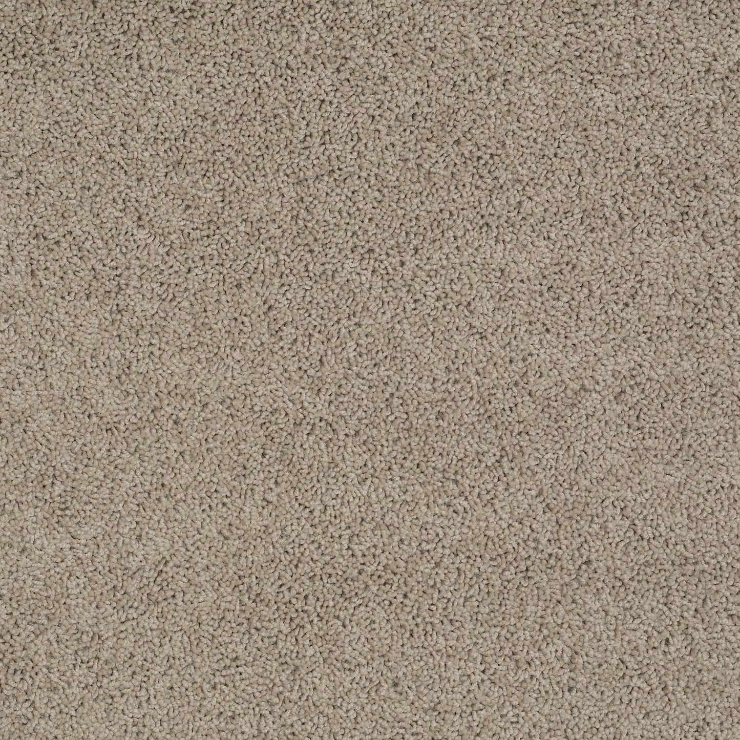 TEXTURE BCF