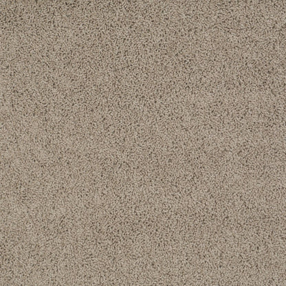 TEXTURE BCF