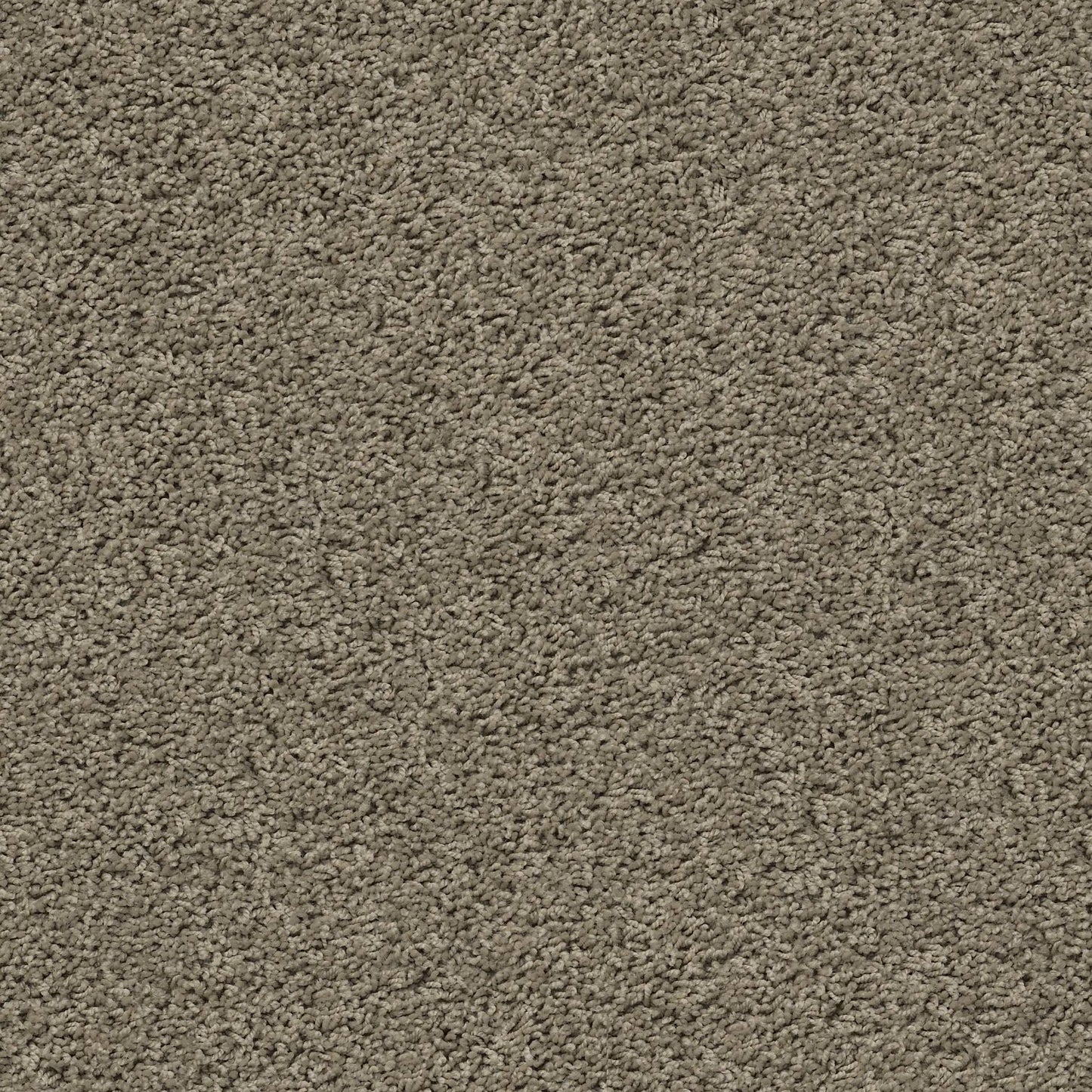 TEXTURE BCF