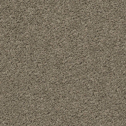 TEXTURE BCF