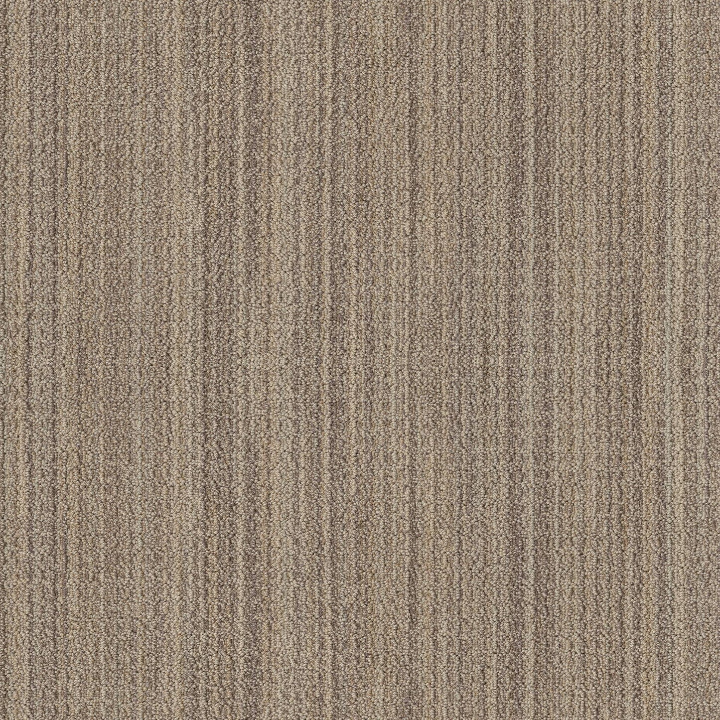 BERBER NYLON LOOP