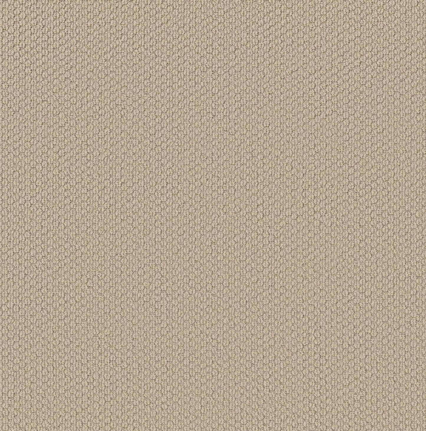 BERBER NYLON LOOP