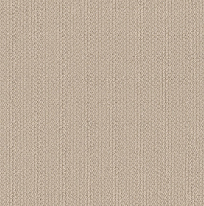 BERBER NYLON LOOP