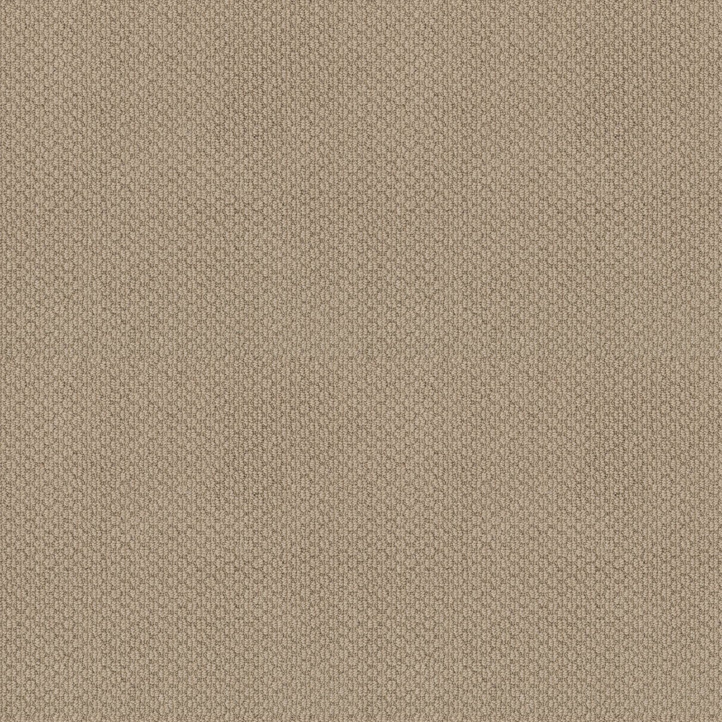 BERBER NYLON LOOP