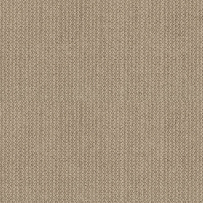 BERBER NYLON LOOP