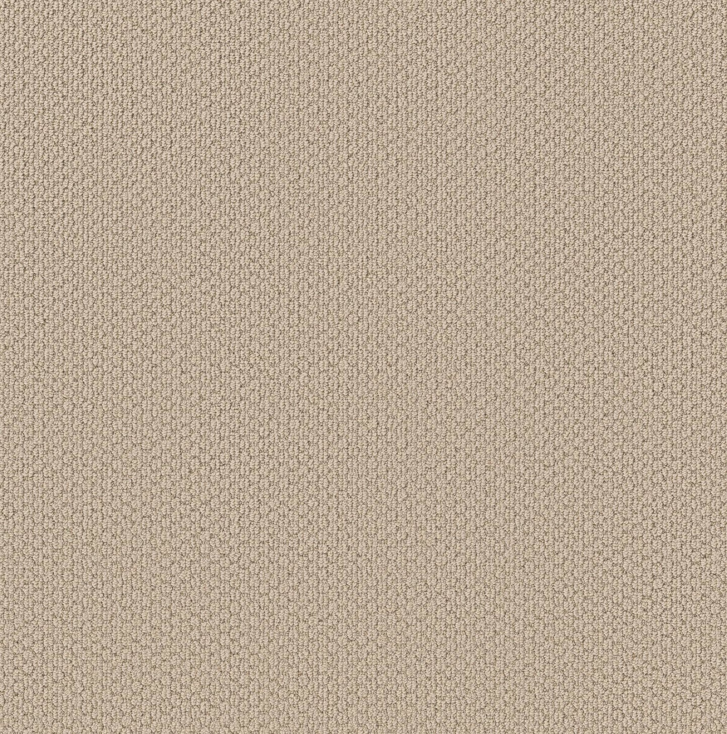 BERBER NYLON LOOP