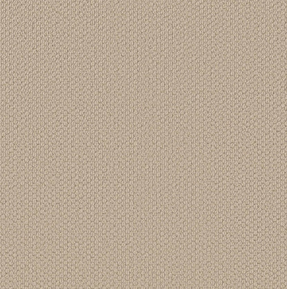 BERBER NYLON LOOP