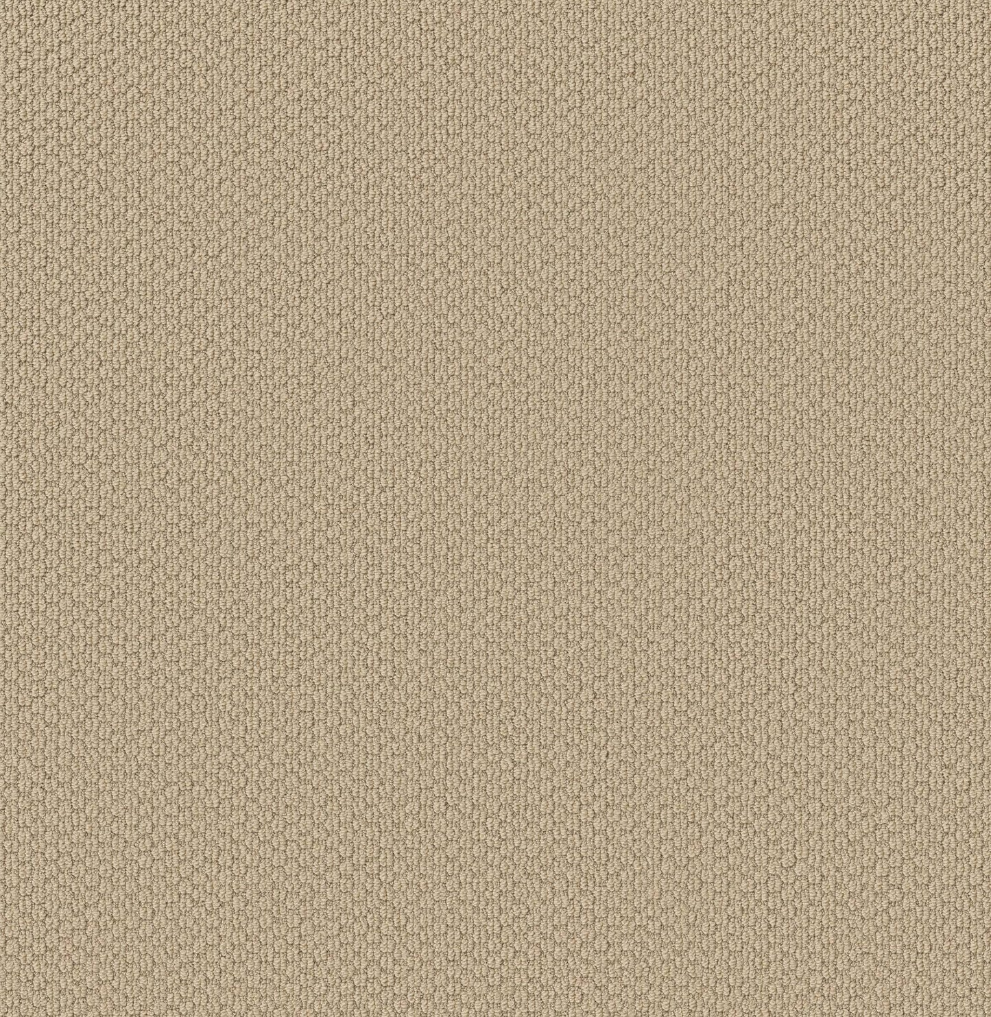 BERBER NYLON LOOP