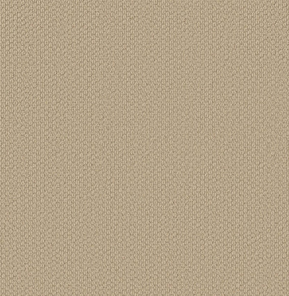 BERBER NYLON LOOP