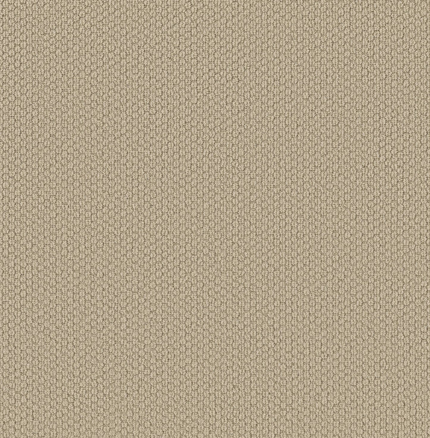 BERBER NYLON LOOP