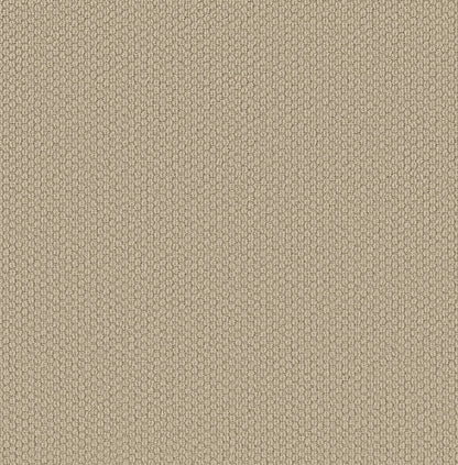BERBER NYLON LOOP