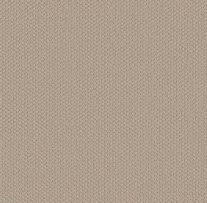 BERBER NYLON LOOP