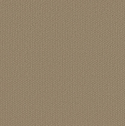 BERBER NYLON LOOP