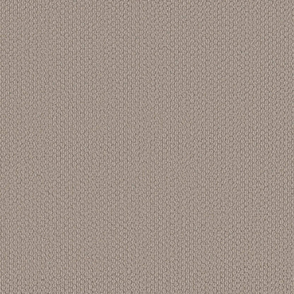 BERBER NYLON LOOP