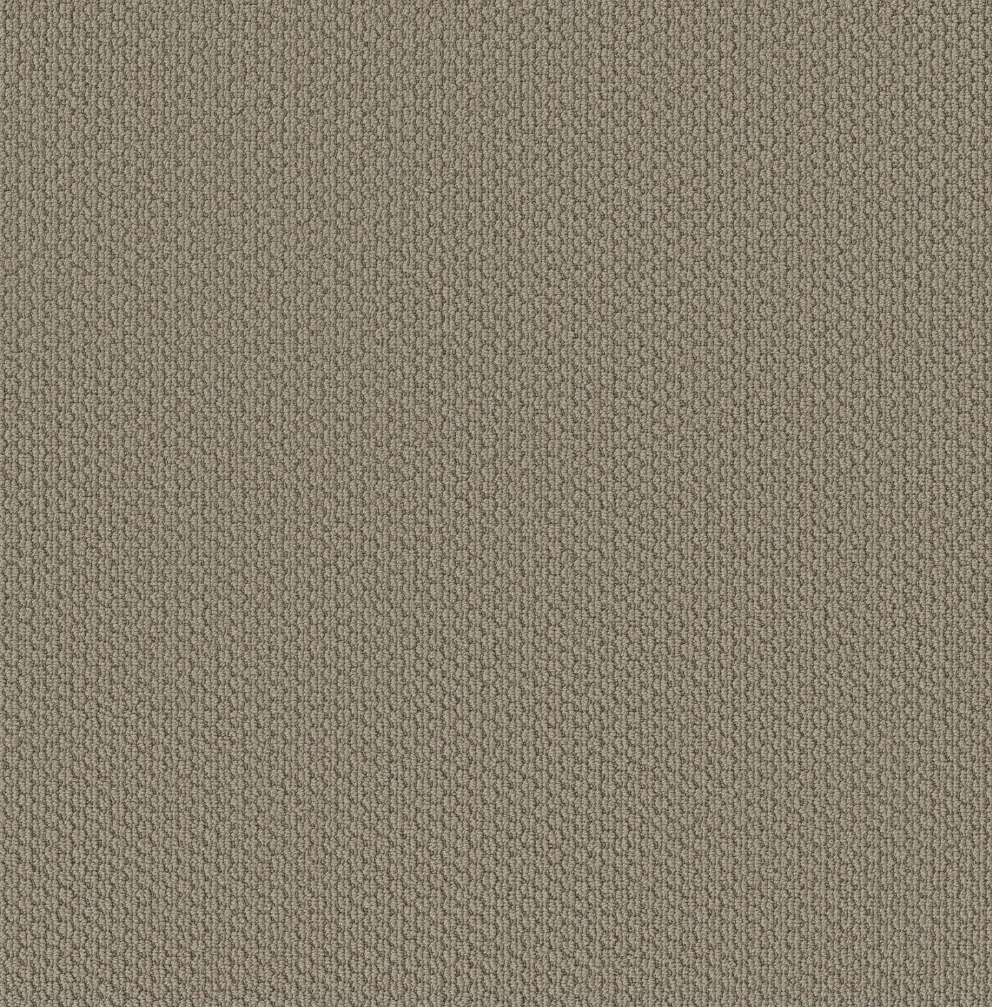 BERBER NYLON LOOP