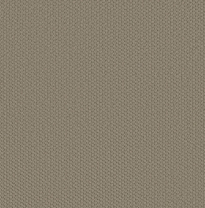 BERBER NYLON LOOP