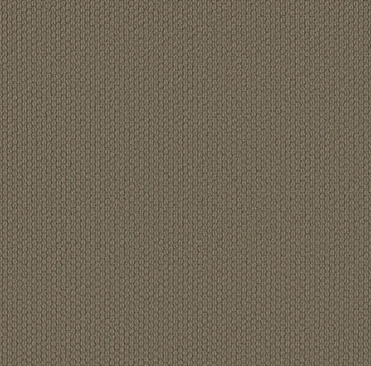 BERBER NYLON LOOP