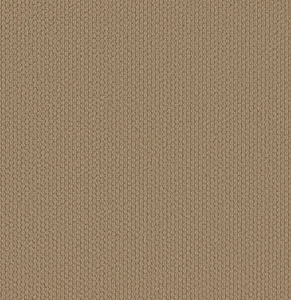 BERBER NYLON LOOP